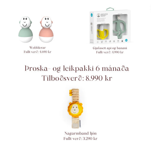 Þroska- og leikpakki 6 mánaða